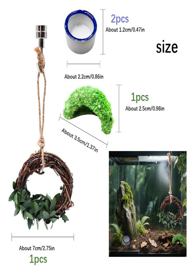 Luchike Set of 4 Jumping Spider Enclosure Accessories Jumping Spider Accessories Enclosure Habitat Decor 2 Water Bowl 1 Rattan Swing 1 Little Green Hide - Image 4